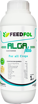 ALGA PLUS