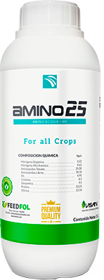 AMINO 25