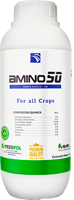 AMINO 50