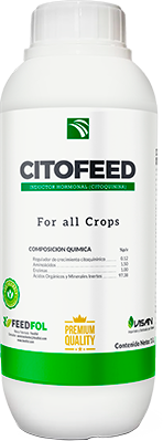 CITOFEED