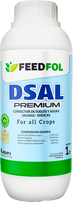 DSALPERMIUM