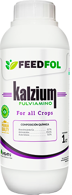 KALZIUM