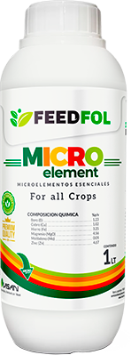 MICROELEMENT