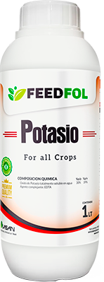 POTASIO