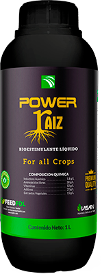 POWER RAIZ